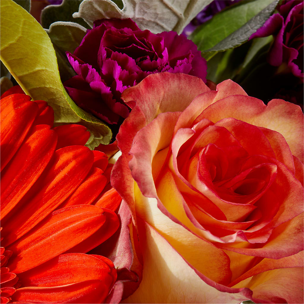 Sangria Bouquet –  Greater Oklahoma City Flower Shop, Oklahoma City OK