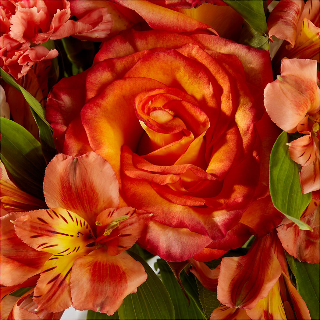 Apricot Glow Bouquet –  Greater Oklahoma City Flower Shop, Oklahoma City OK