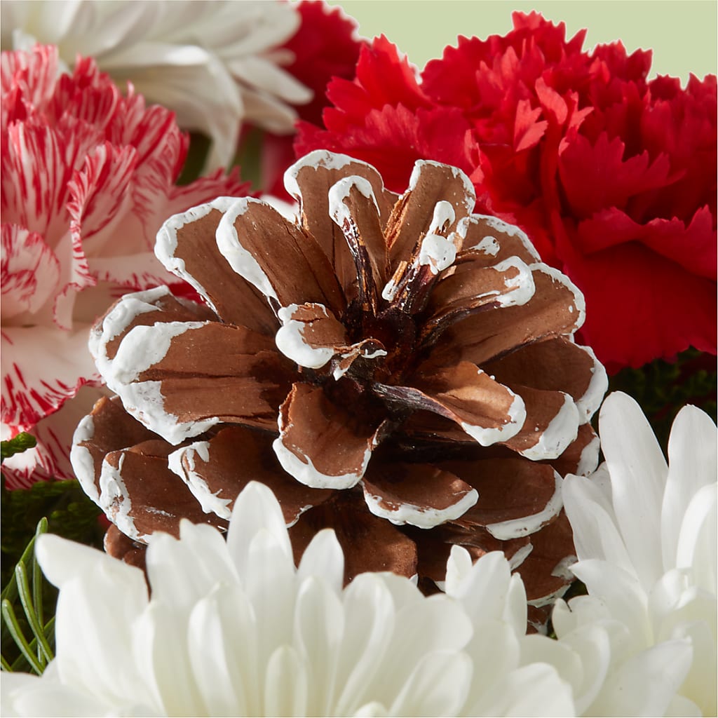 Candy Cane Lane Bouquet –  Greater Oklahoma City Flower Shop, Oklahoma City OK