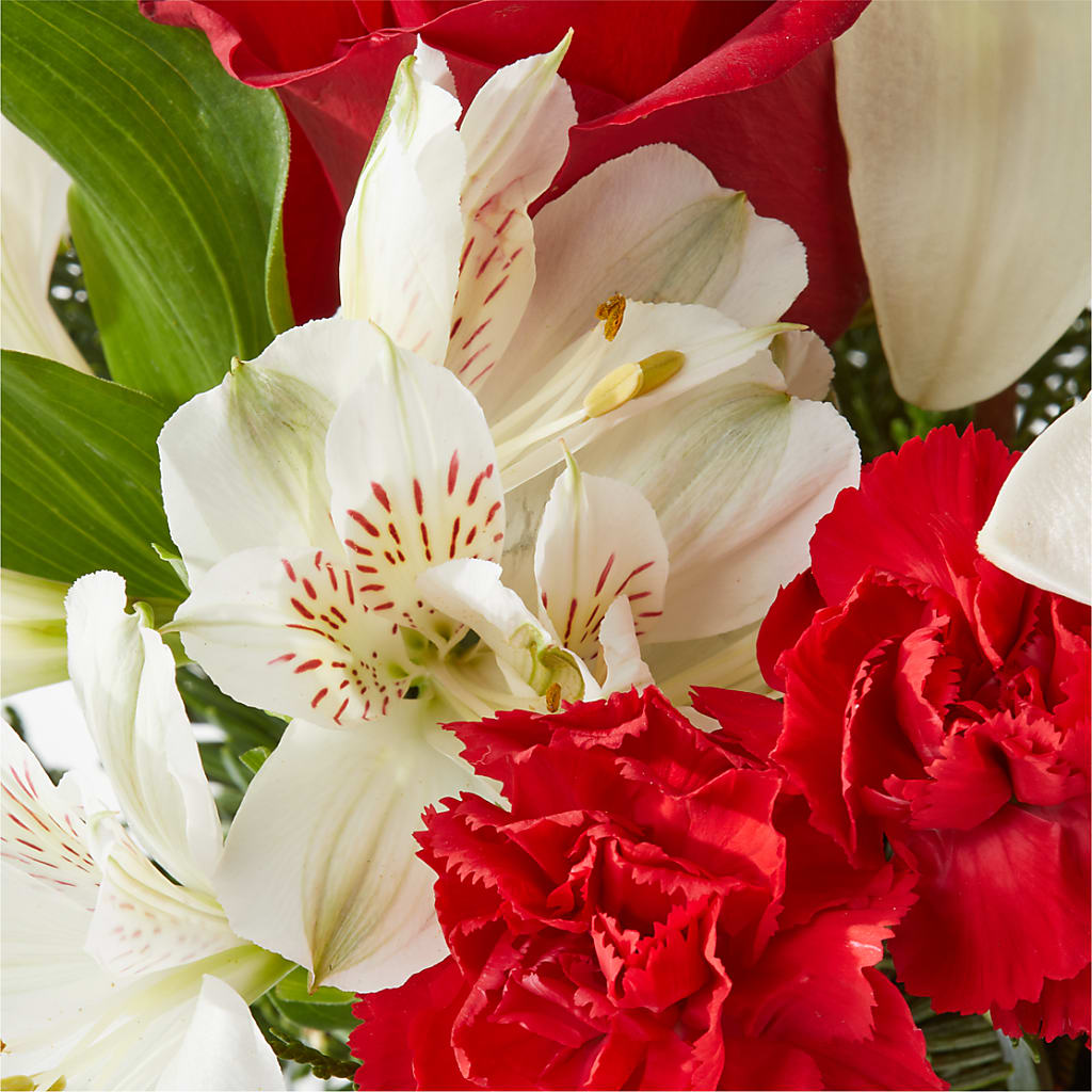 Holiday Season Bouquet –  Greater Oklahoma City Flower Shop, Oklahoma City OK