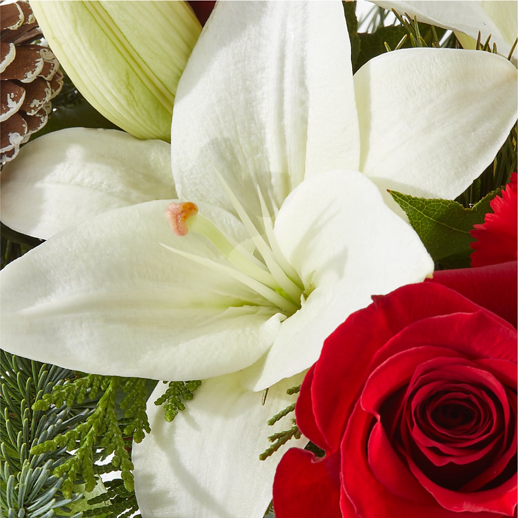 Oh So Jolly Bouquet –  Greater Oklahoma City Flower Shop, Oklahoma City OK