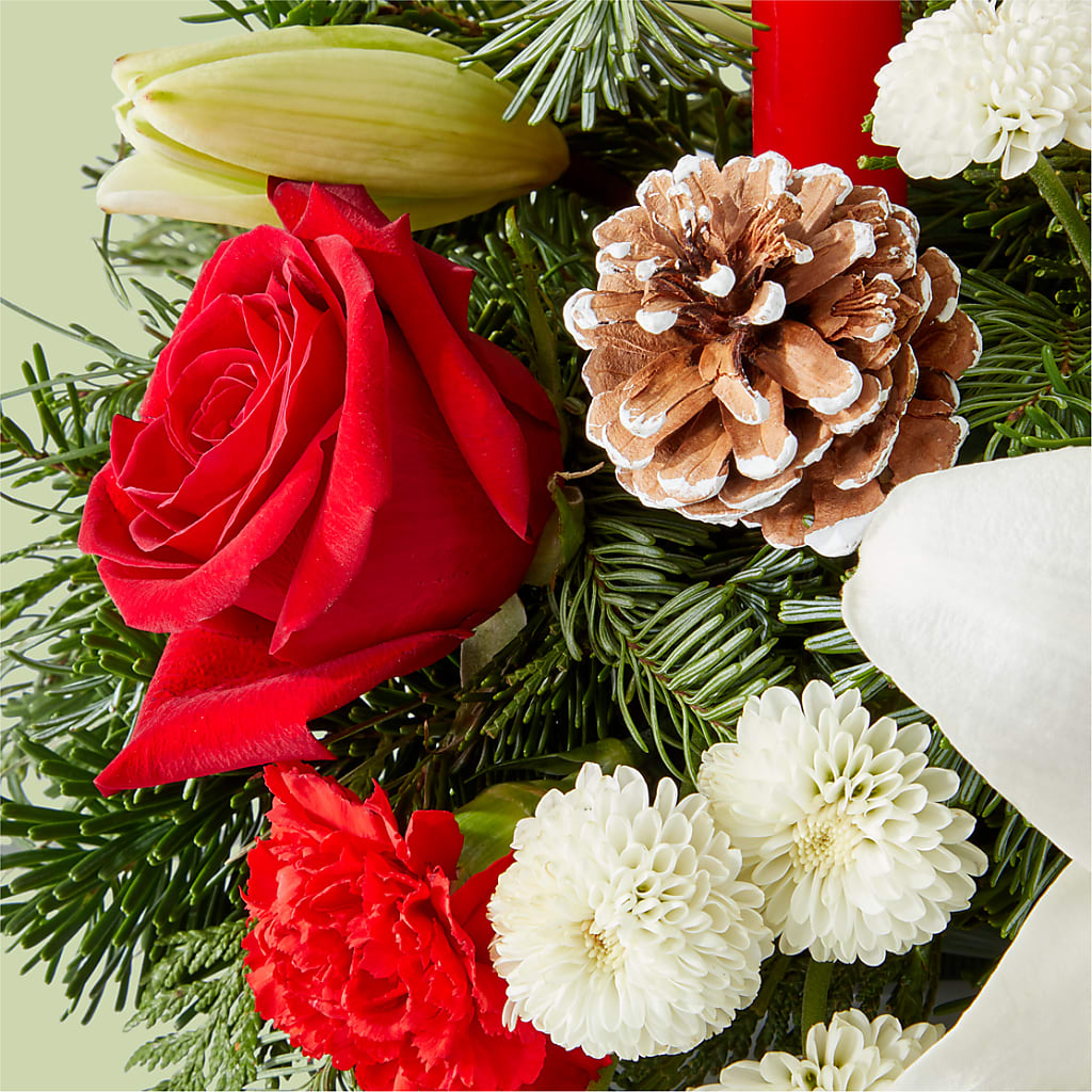 Seasonal Festivities Centerpiece –  Greater Oklahoma City Flower Shop, Oklahoma City OK