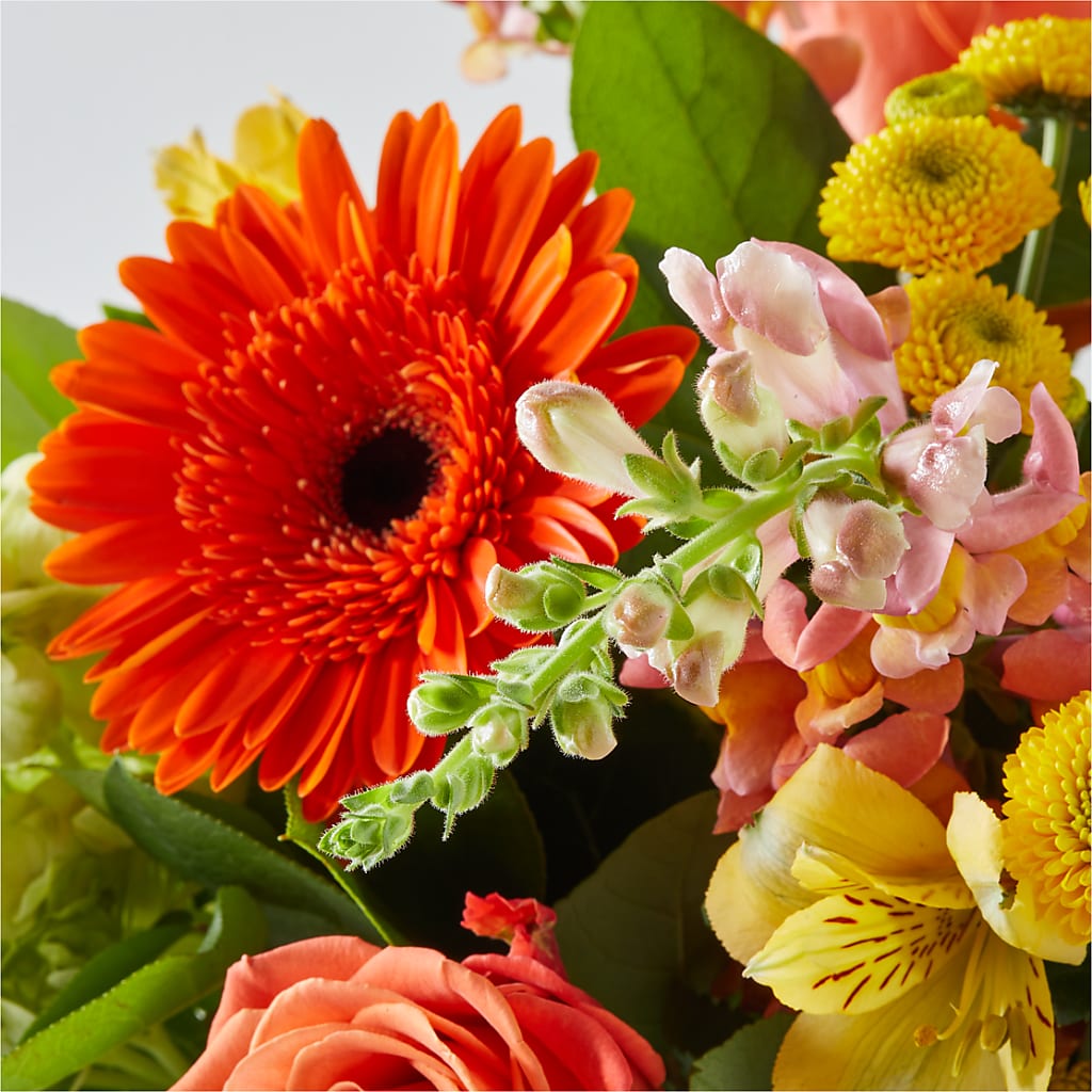 Autumn Sunshine Bouquet –  Greater Oklahoma City Flower Shop, Oklahoma City OK