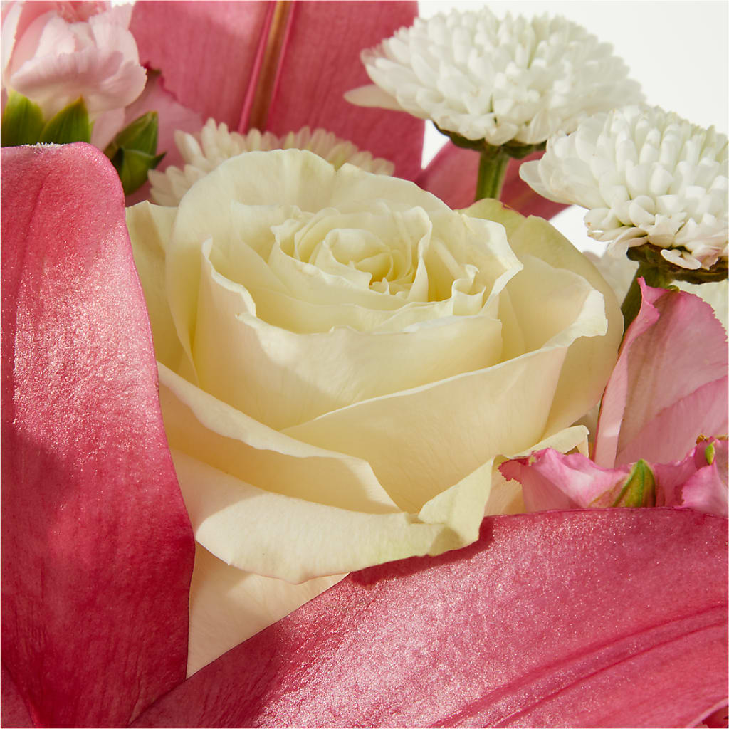 Piece of Cake Bouquet –  Greater Oklahoma City Flower Shop, Oklahoma City OK