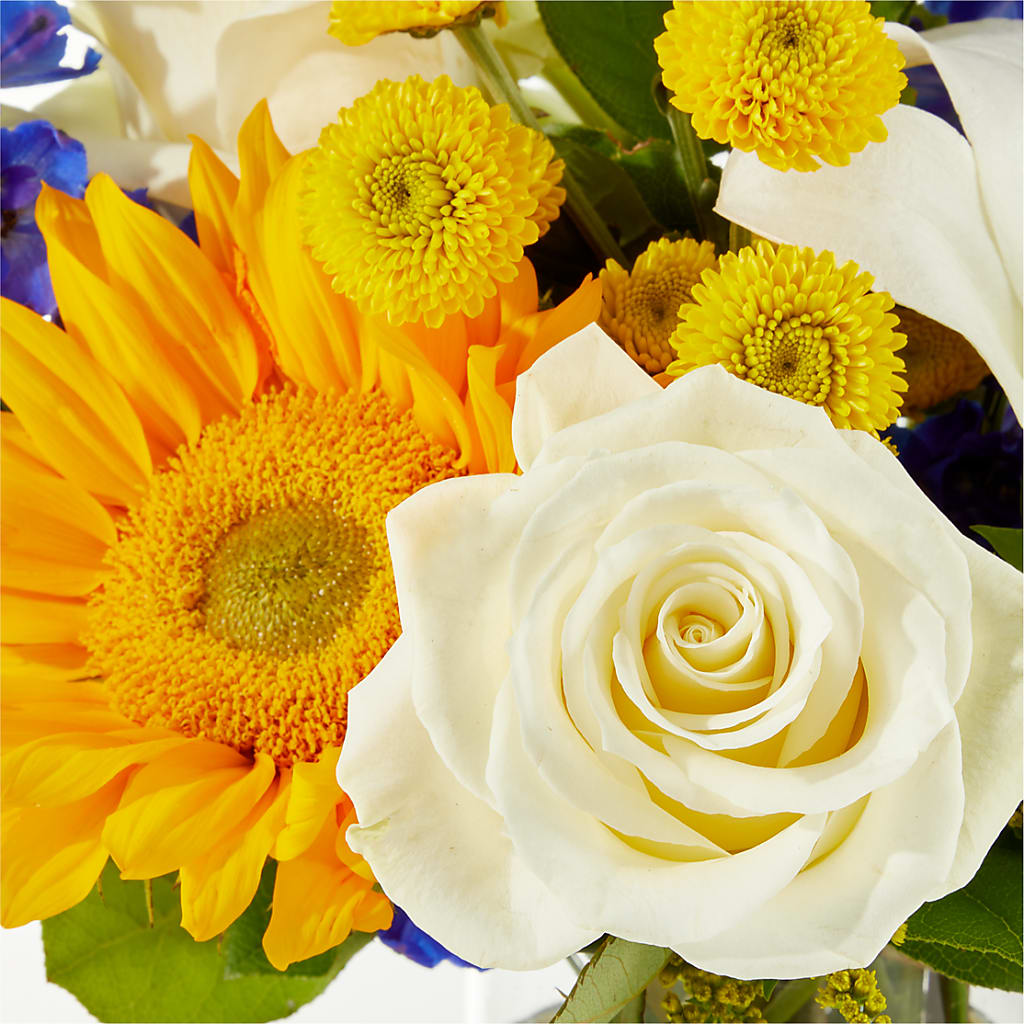 Stargazing Bouquet –  Greater Oklahoma City Flower Shop, Oklahoma City OK