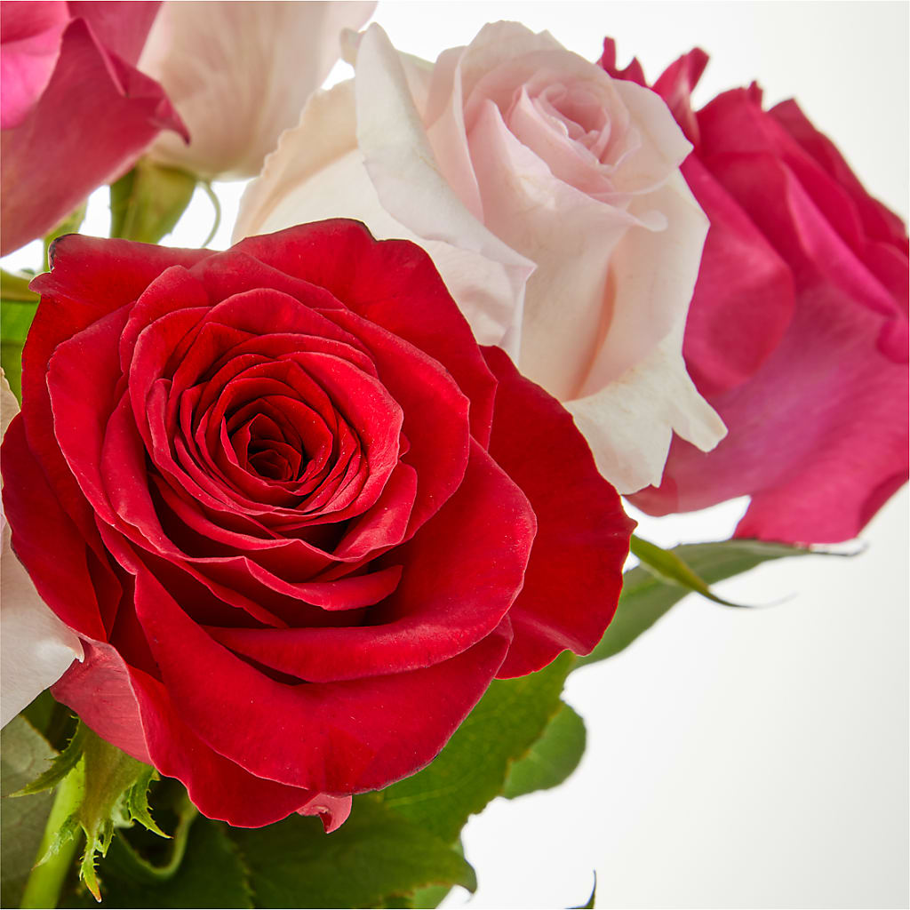 Charming Rose Bouquet –  Greater Oklahoma City Flower Shop, Oklahoma City OK