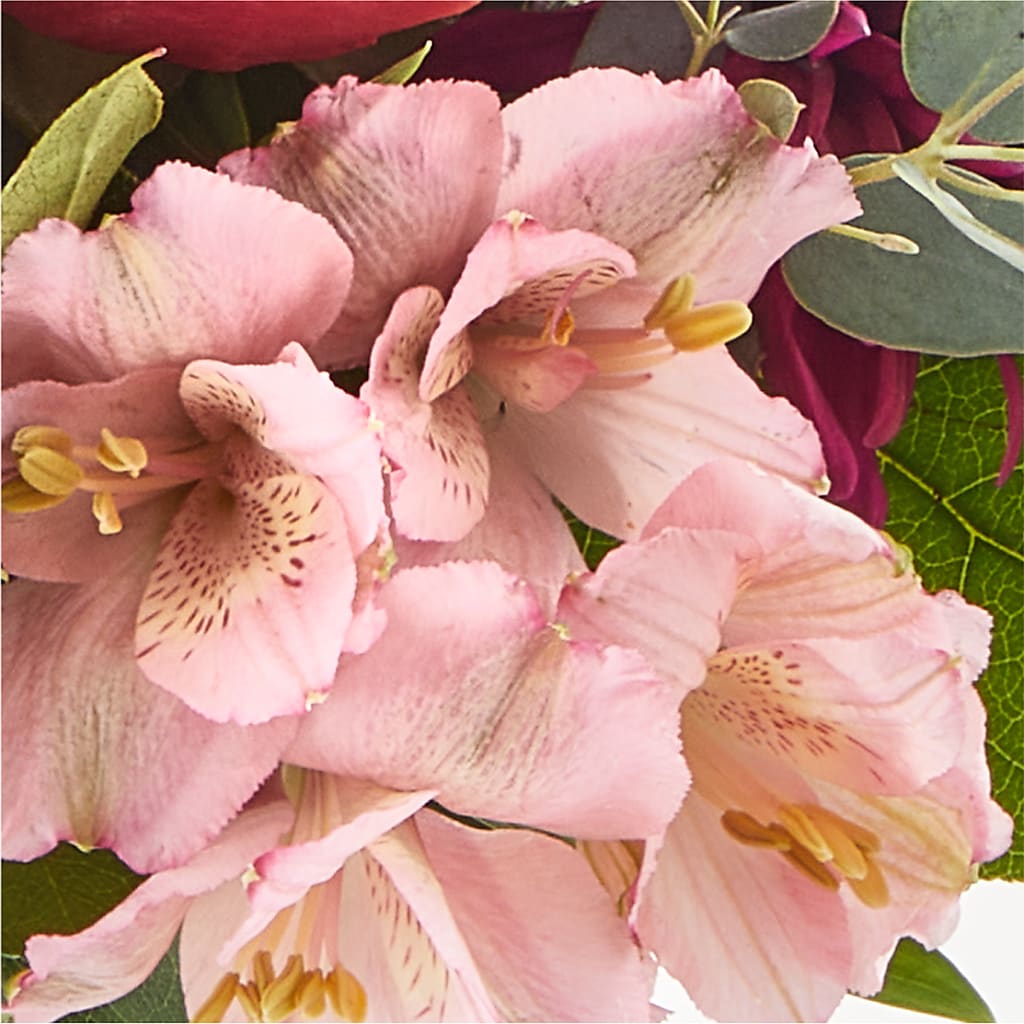 Berry Cobbler Bouquet –  Greater Oklahoma City Flower Shop, Oklahoma City OK