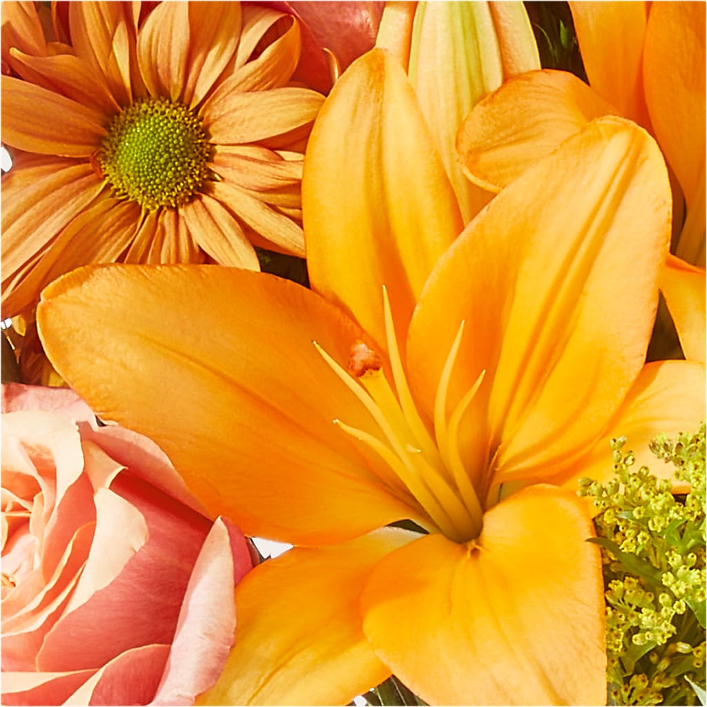 Harvest Hayride Bouquet –  Greater Oklahoma City Flower Shop, Oklahoma City OK