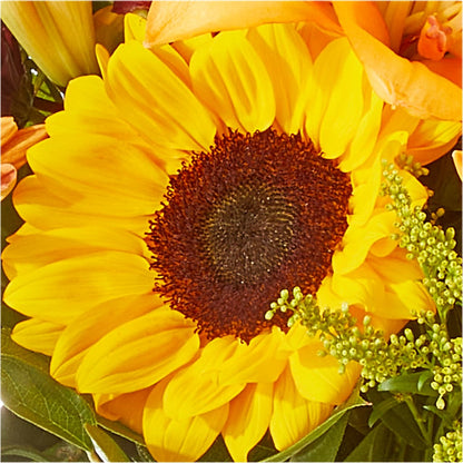 Seasons Change Bouquet –  Greater Oklahoma City Flower Shop, Oklahoma City OK