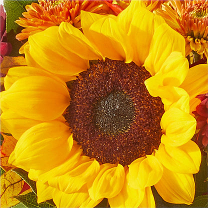 Sunny Side Bouquet –  Greater Oklahoma City Flower Shop, Oklahoma City OK