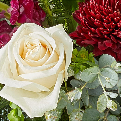 Cranberry Fizz Bouquet –  Greater Oklahoma City Flower Shop, Oklahoma City OK