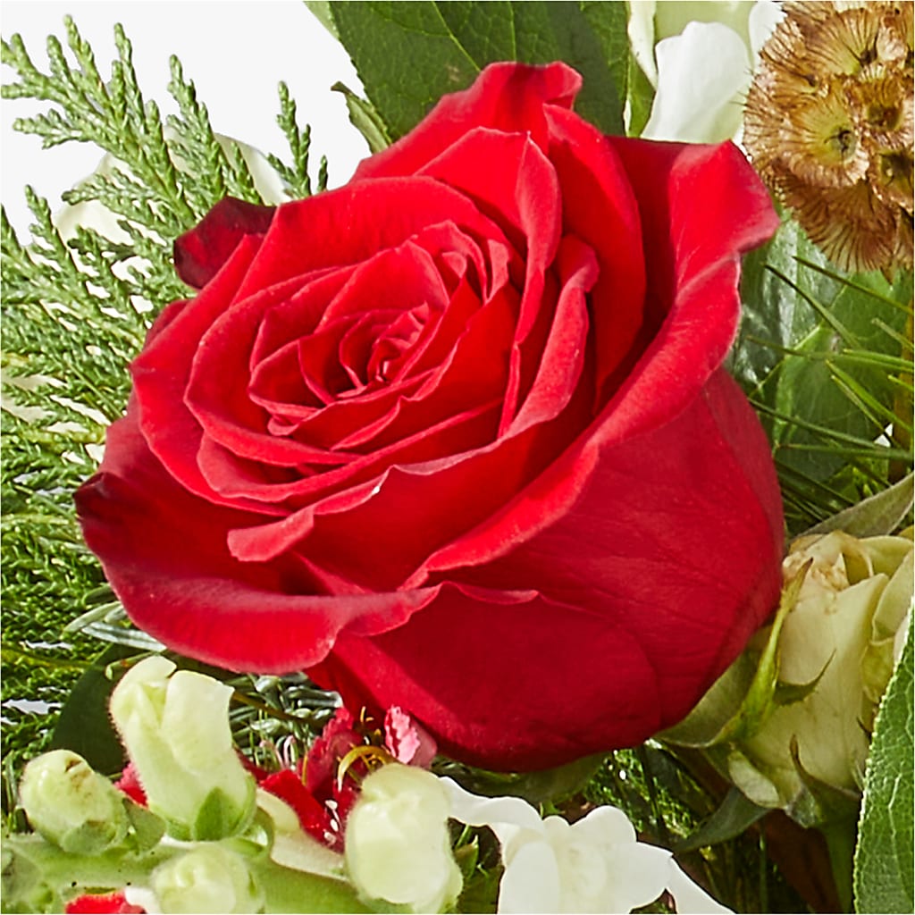Deck the Halls Bouquet –  Greater Oklahoma City Flower Shop, Oklahoma City OK