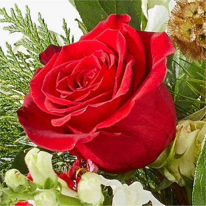 Deck the Halls Bouquet –  Greater Oklahoma City Flower Shop, Oklahoma City OK