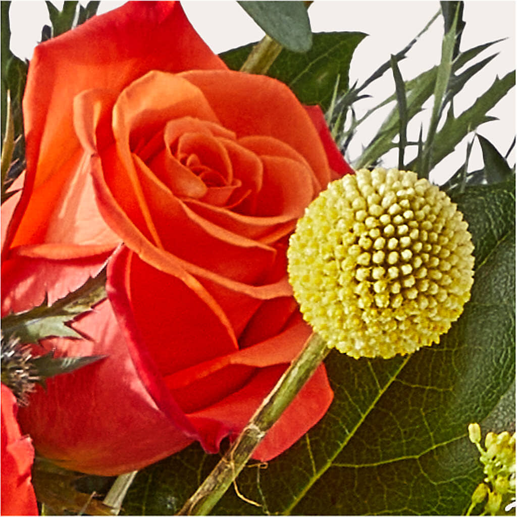 Disco Bouquet –  Greater Oklahoma City Flower Shop, Oklahoma City OK