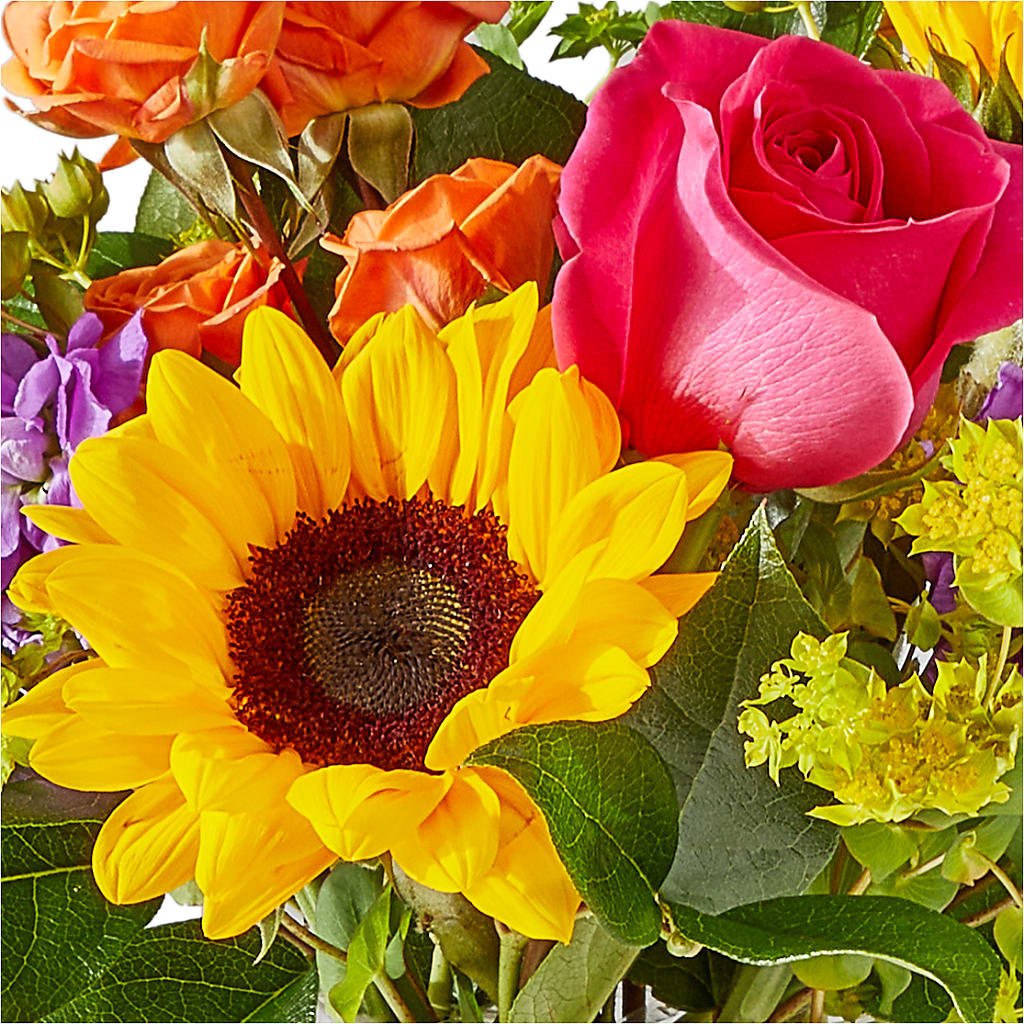 Vibrant Greetings Bouquet –  Greater Oklahoma City Flower Shop, Oklahoma City OK