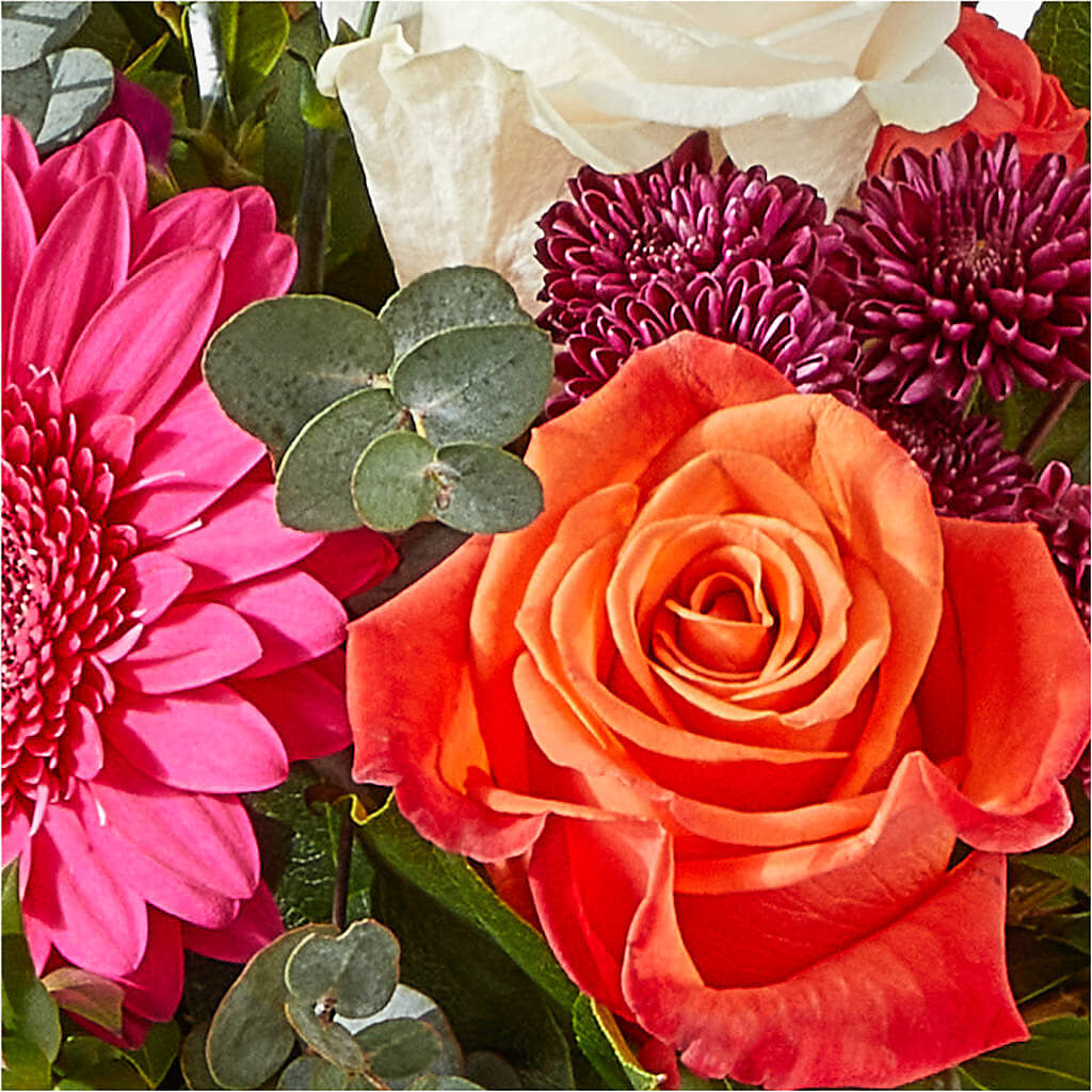 Smell the Roses Bouquet –  Greater Oklahoma City Flower Shop, Oklahoma City OK