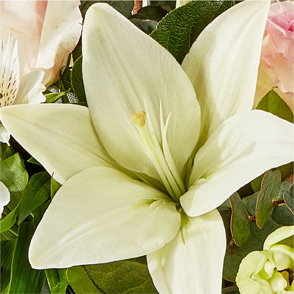 Ballet Slippers Bouquet –  Greater Oklahoma City Flower Shop, Oklahoma City OK