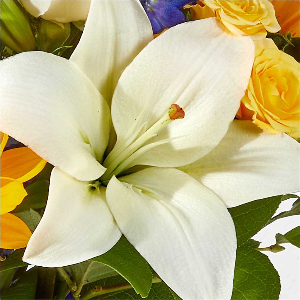 Wonderfully Sunny Bouquet –  Greater Oklahoma City Flower Shop, Oklahoma City OK