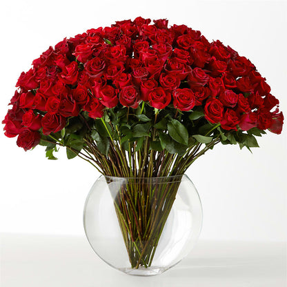 The Idealist –  Greater Oklahoma City Flower Shop, Oklahoma City OK