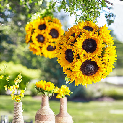 Sublime Garden Hanging Arrangement –  Greater Oklahoma City Flower Shop, Oklahoma City OK