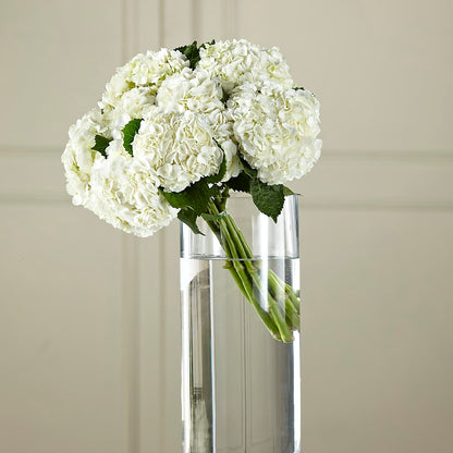 White Hydrangea Hand-Tied Bouquet –  Greater Oklahoma City Flower Shop, Oklahoma City OK