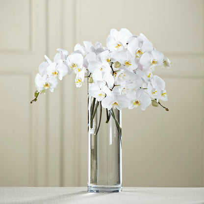 White Phalaenopsis Bouquet –  Greater Oklahoma City Flower Shop, Oklahoma City OK