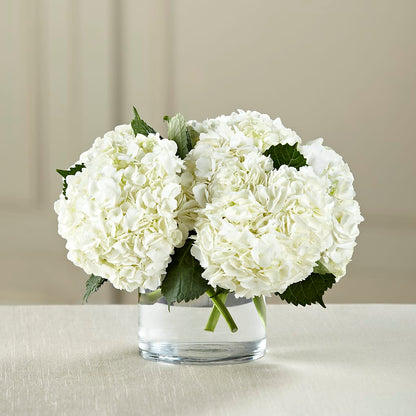 White Hydrangea Bouquet –  Greater Oklahoma City Flower Shop, Oklahoma City OK