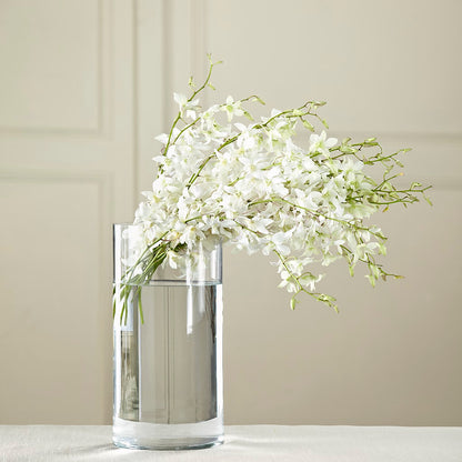 White Dendrobium Bouquet –  Greater Oklahoma City Flower Shop, Oklahoma City OK